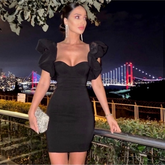 NWT Zara Ruffled Sleeve Mini Dress - Picture 9 of 17